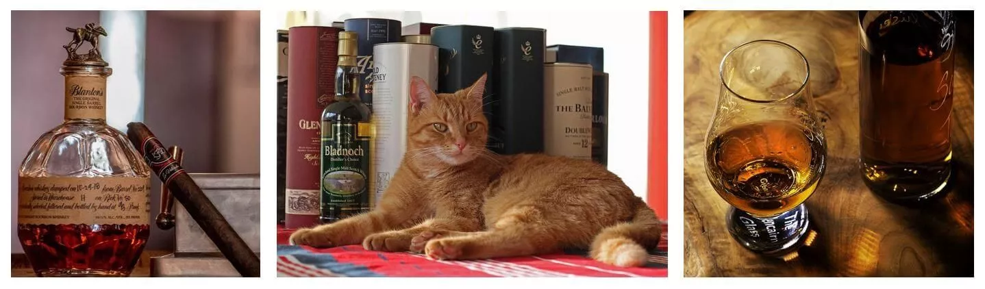 Whisky/Whiskey Whisky/Whiskey