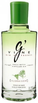 Preview: G' Vine Gin Floraison ... 1x 1 Ltr.